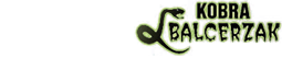logo kobra ddd